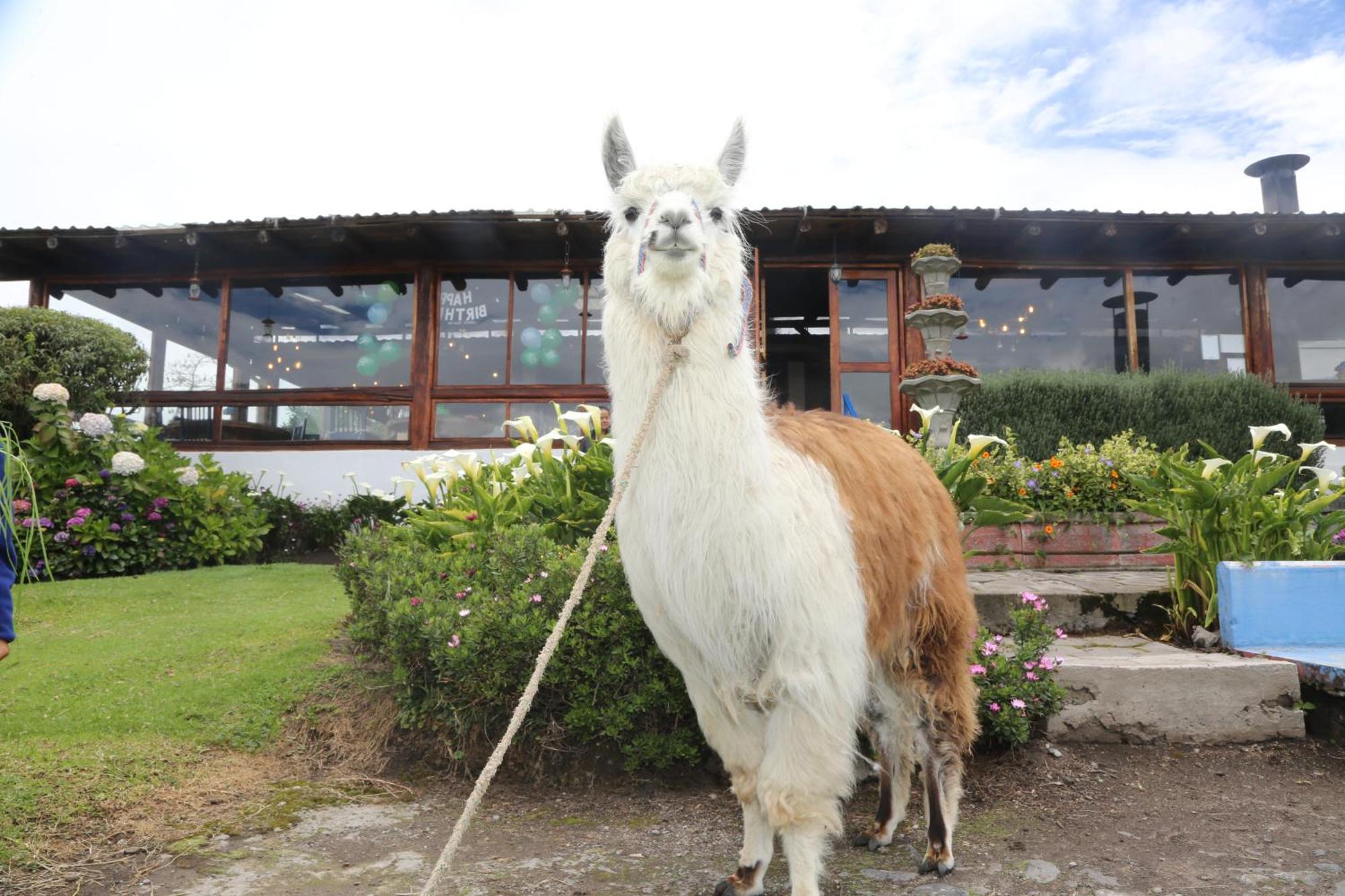 Hacienda El Rejo Villa Machachi Bagian luar foto