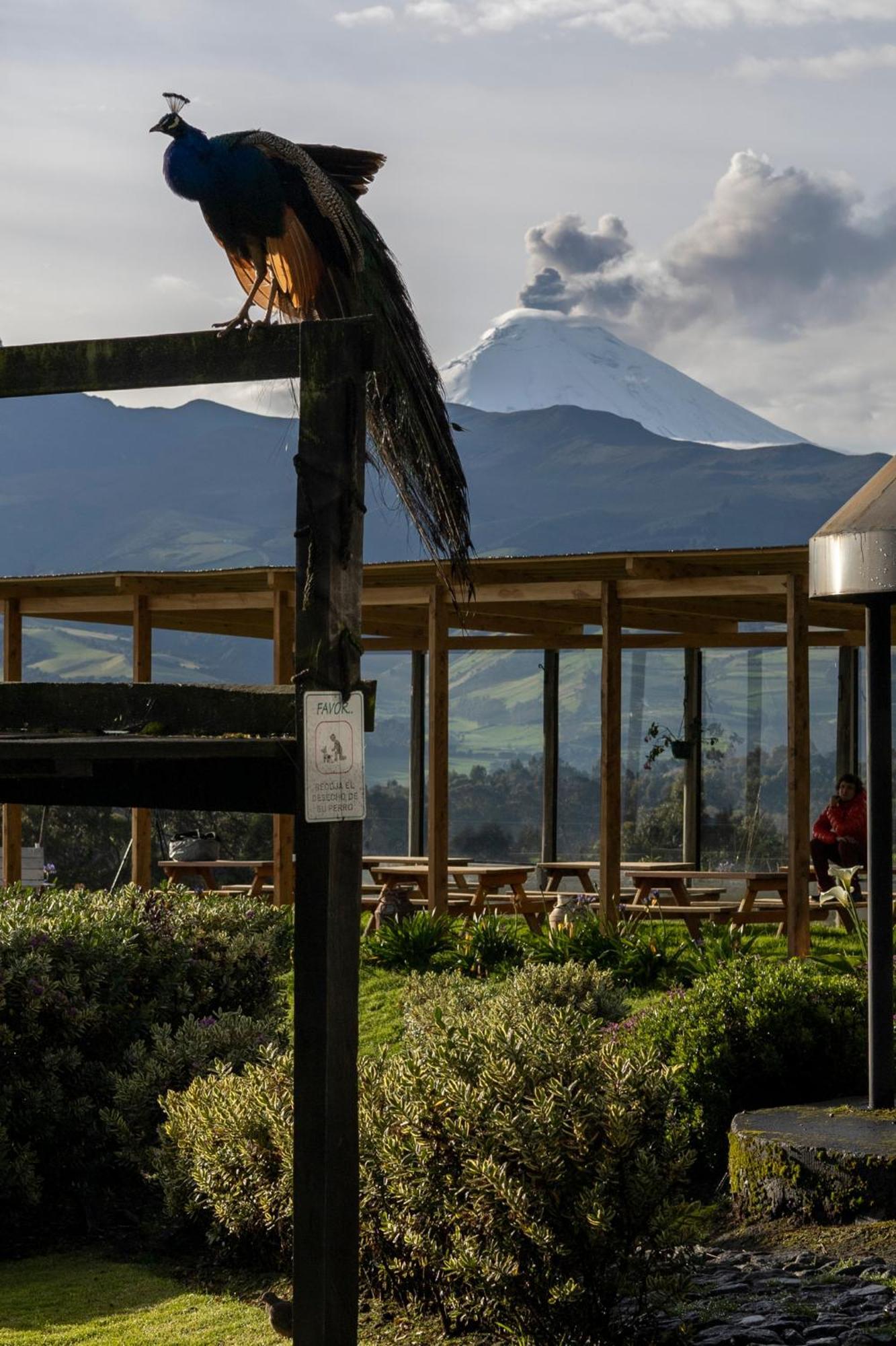 Hacienda El Rejo Villa Machachi Bagian luar foto