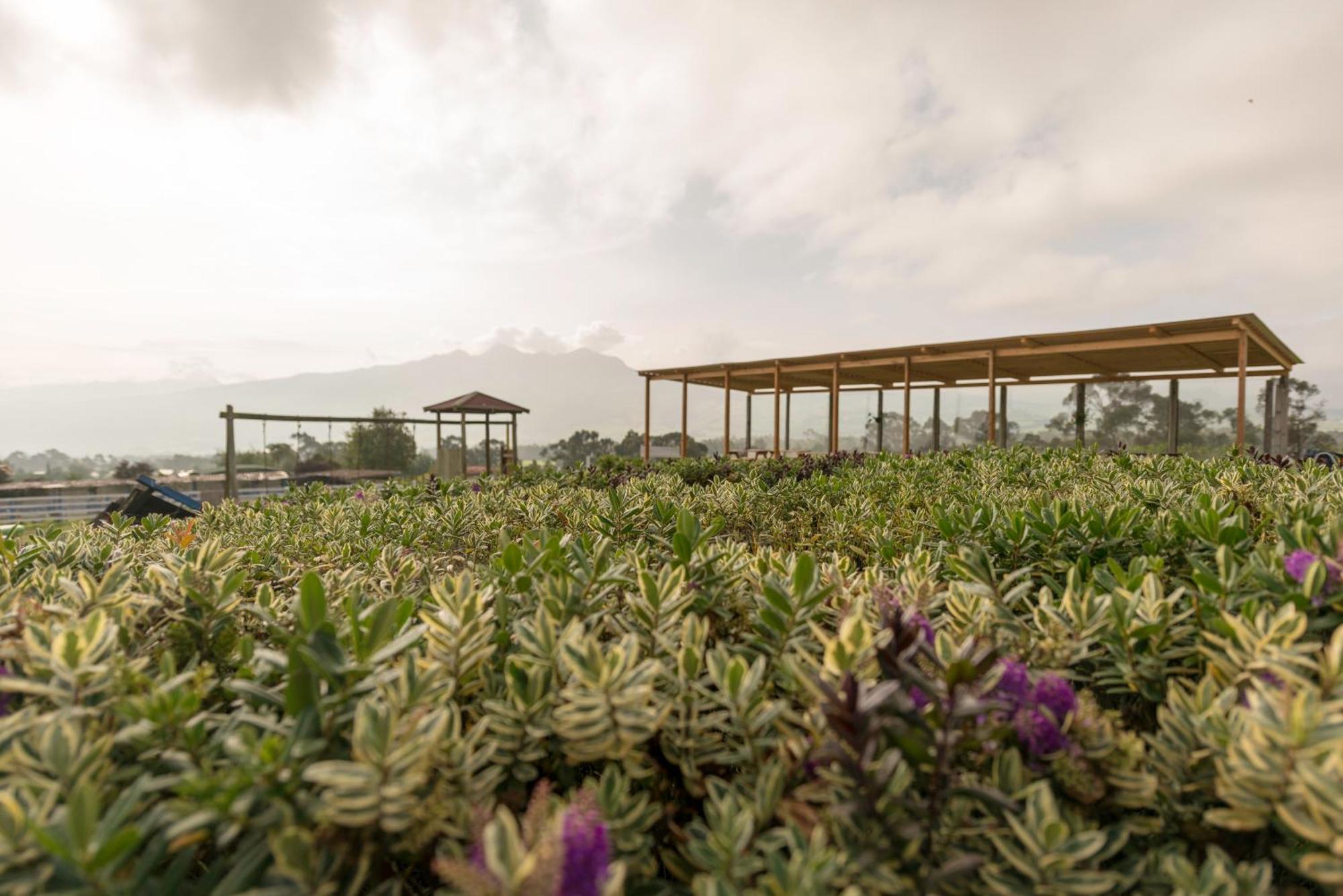 Hacienda El Rejo Villa Machachi Bagian luar foto